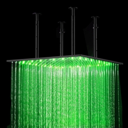 Rainfall Shower Head Reviews